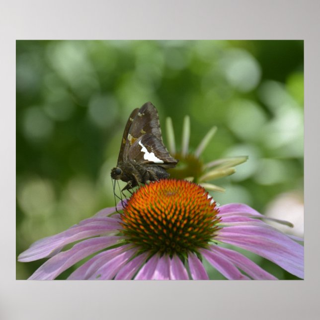 Poster BLÅDA UT (Framsidan)