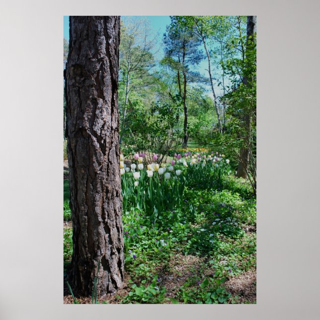 POSTER BLOMMIGT - 1 (Framsidan)