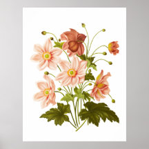 Poster blommigt av vintage för att stänga av