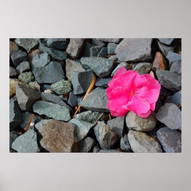 poster "Blommor i ratten" (Framsidan)