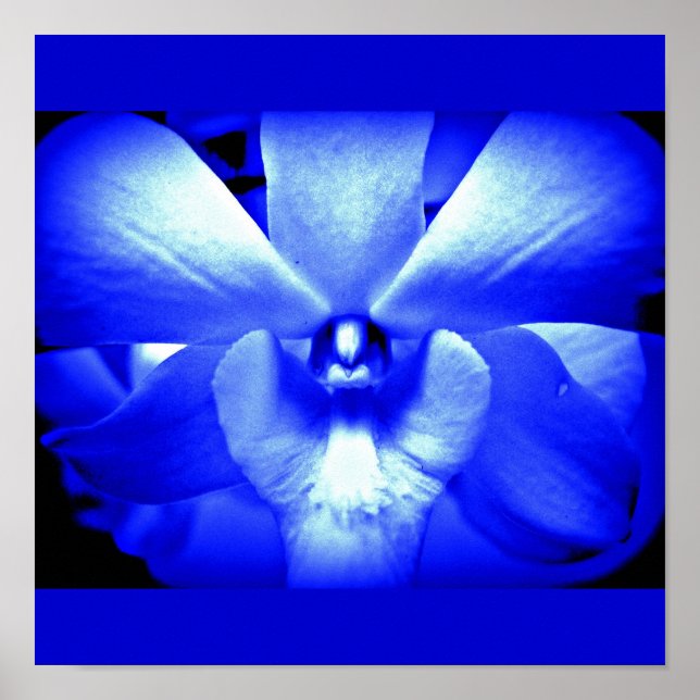 Poster-blommor-målade blommor 13 poster (Framsidan)