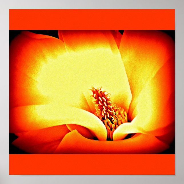 Poster-blommor-målade blommor 9 poster (Framsidan)