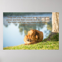 Poster Boerboel-hund med inspirationsoffert