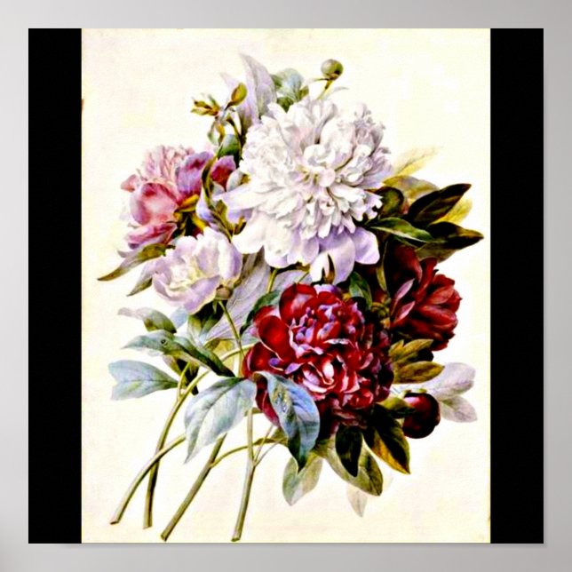 Poster-Botanicals-Pierre Joseph Redoute 16 Poster (Framsidan)