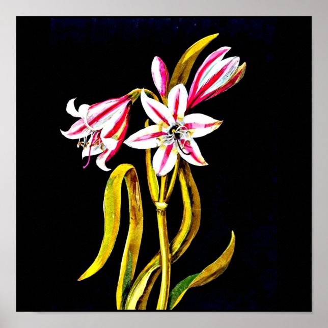 Poster botaniska Art-Mary Delany 3 (Framsidan)