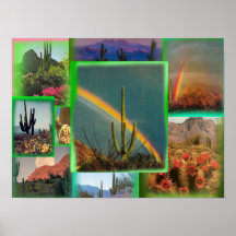Poster Cactus Film Collage