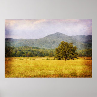 Poster - Cades Cove Träd - Underbar Smoky Mt. Nat'
