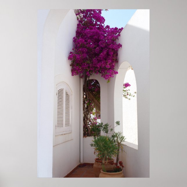 Póster casa mediterránea poster (Framsidan)