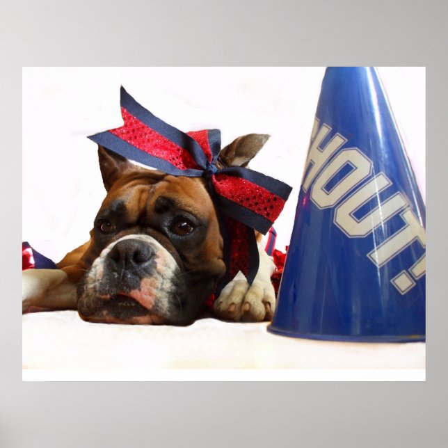 Poster Cheerproffs-boxer (Framsidan)