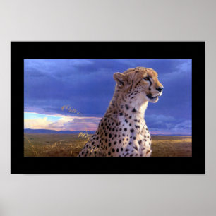 Poster-Cheetah Poster