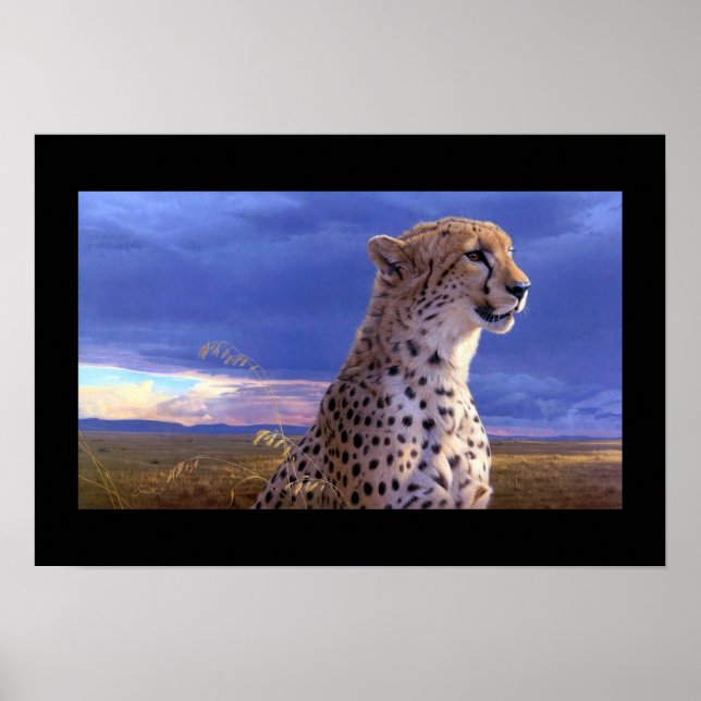 Poster-Cheetah Poster (Framsidan)