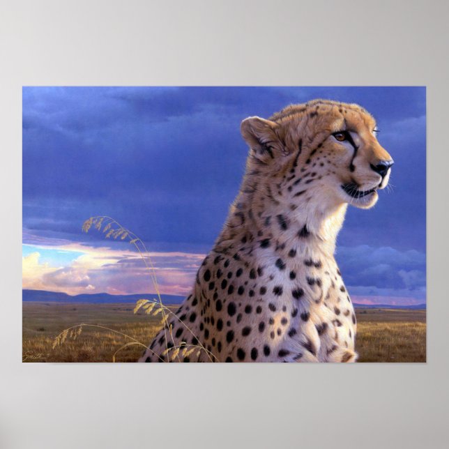 Poster-Cheetah Poster (Framsidan)