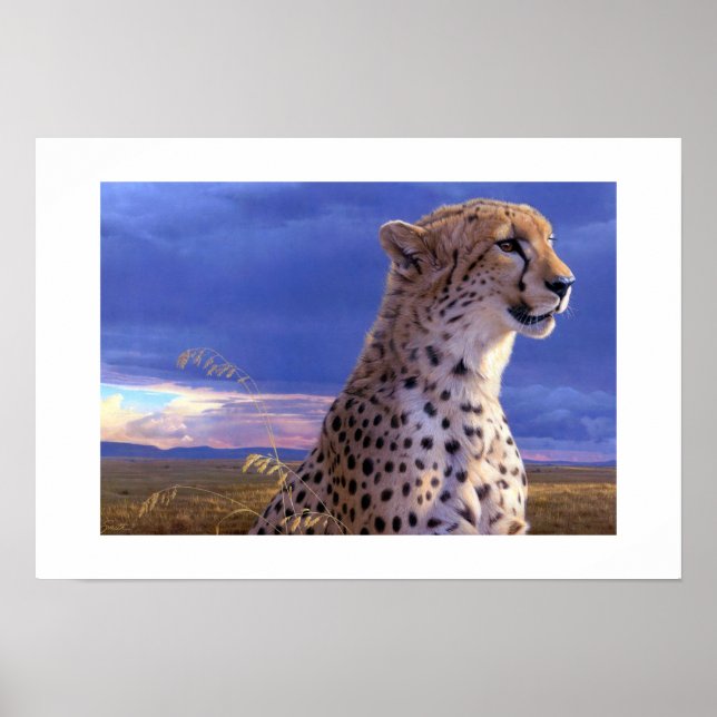 Poster-Cheetah Poster (Framsidan)