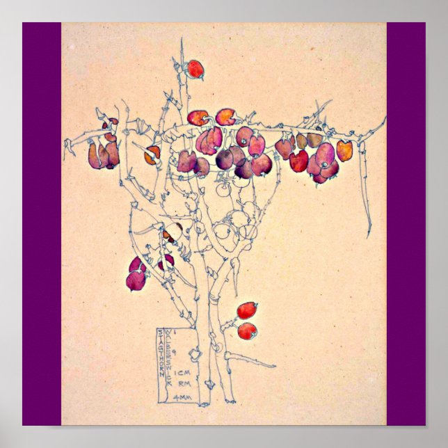 Poster Classic/Vintage-Charles Rennie Mackintosh 7 (Framsidan)