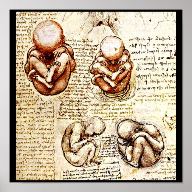 Poster Classic/Vintage-Leonardo da Vinci 9 (Framsidan)