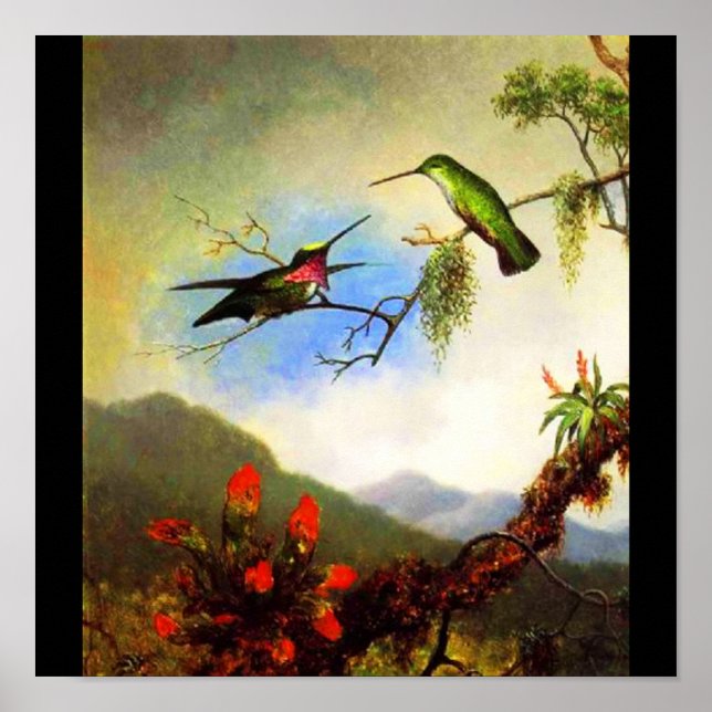 Poster Classic/Vintage-Martin Johnson Heade 1 (Framsidan)