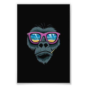 poster Coola av apa