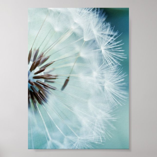 Poster - Coola blå (Framsidan)