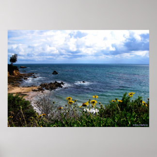 poster - Corona del Mar cove