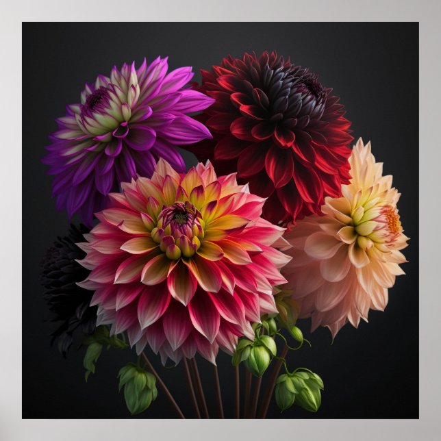 Poster Dahlia Flowers (Framsidan)