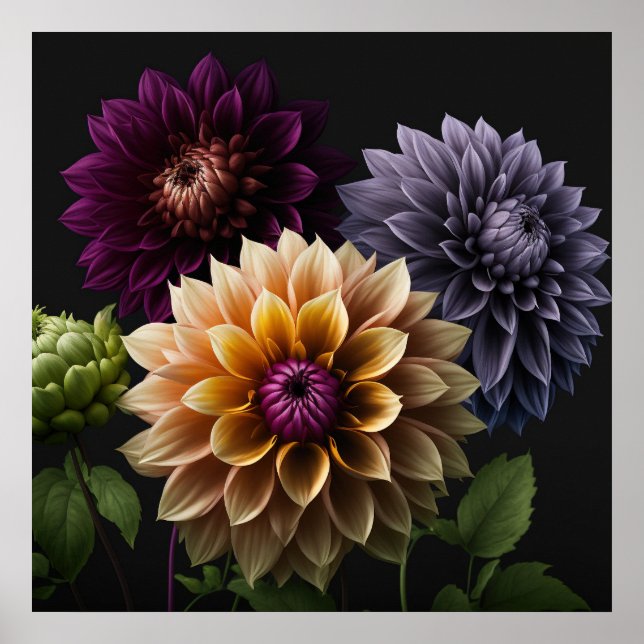 Poster Dahlia Flowers (Framsidan)