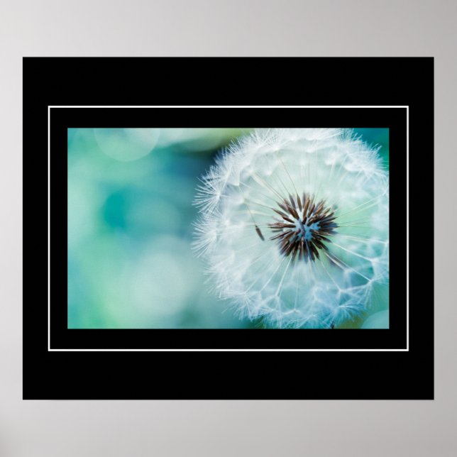 Poster-Dandelion Poster (Framsidan)