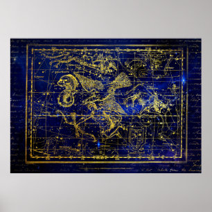 poster delfinkonstellation
