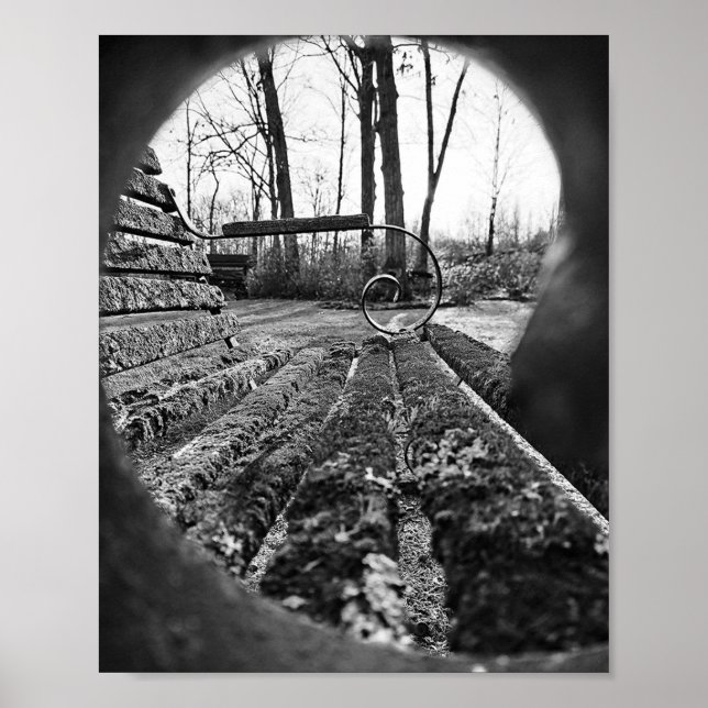 POSTER digitalhämtning |Muren | Urban Phot (Framsidan)