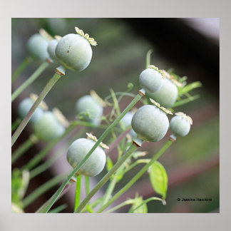 Poster diskettenheter