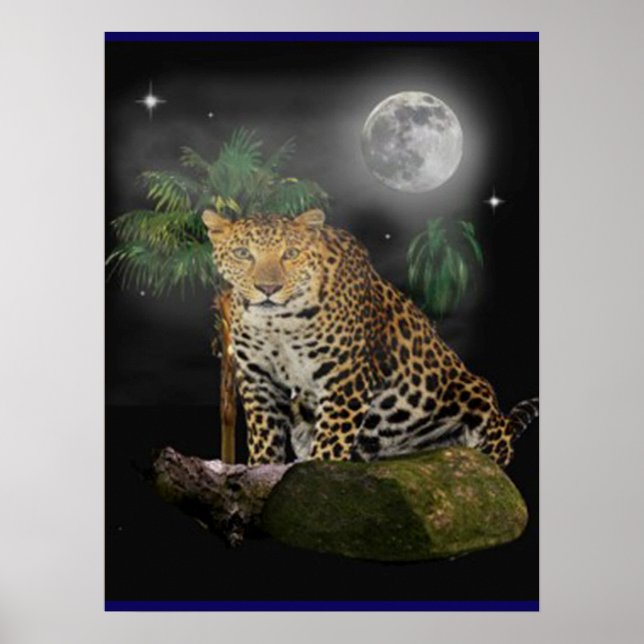 Poster djur (Framsidan)