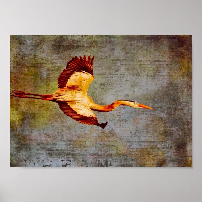 Poster-Dream World Poster (Framsidan)