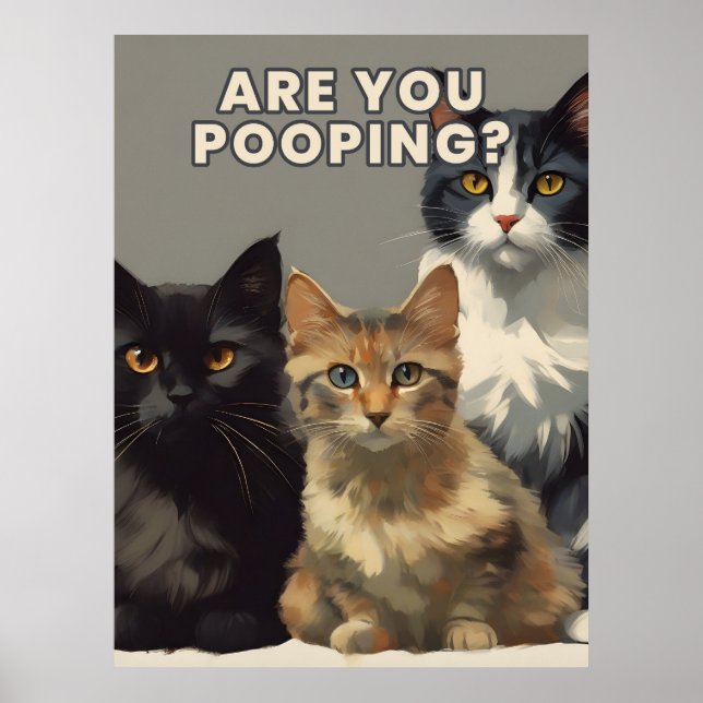 poster du katt? (Framsidan)
