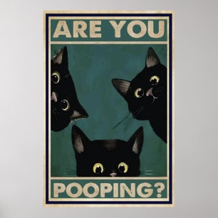 Poster du svartvit katt?