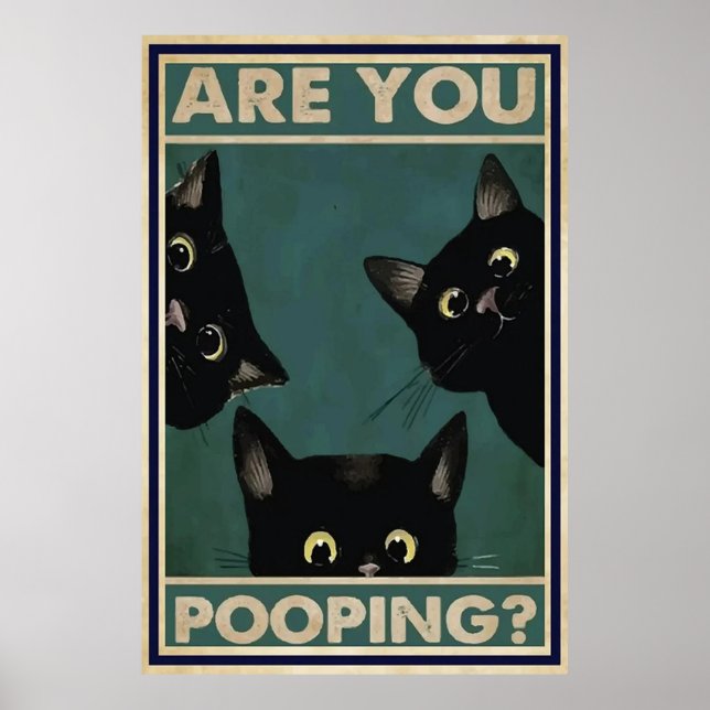 Poster du svartvit katt? (Framsidan)