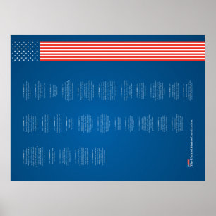 Poster Econo USA Constition American Flagga
