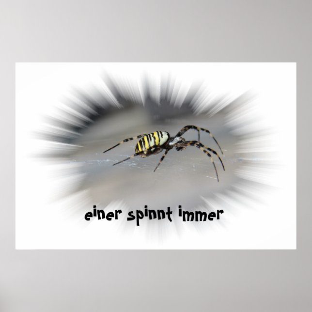 poster einer spinnt immer (Framsidan)