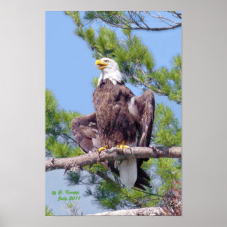 Poster eller skriv ut gräs på den högsta listan