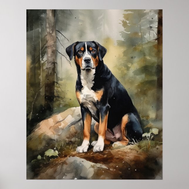 Poster Entlebucher Mountain Hund Art-utskrift (Framsidan)