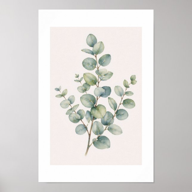 Poster Eucalyptus (Framsidan)
