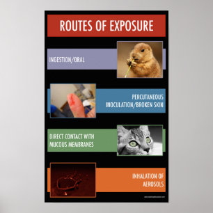 Poster exponeringssäkerhetsinformation