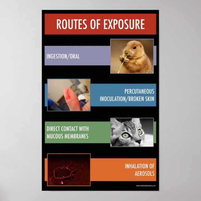 Poster exponeringssäkerhetsinformation (Framsidan)