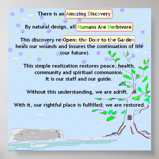 Poster fantastisk Discovery (Framsidan)