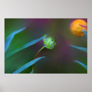 Poster - Färgfärg för liten och fredlig Vild