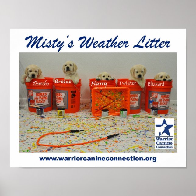 Poster färgpyts med valpar (Framsidan)