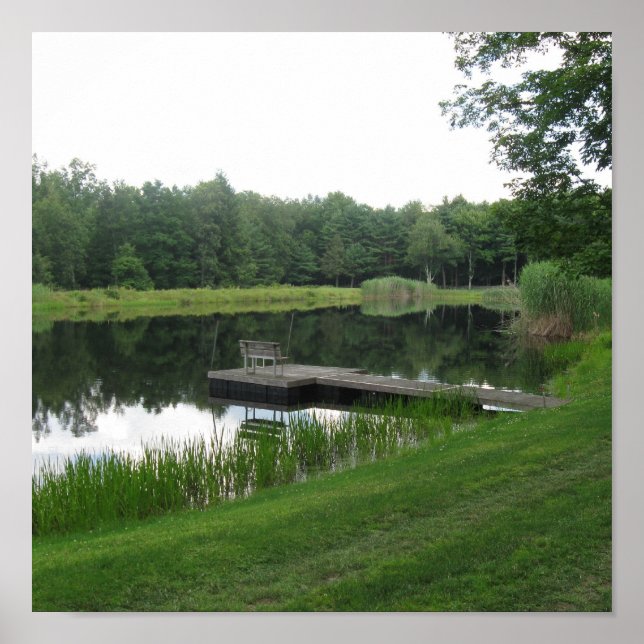 Poster Farm Pond (Framsidan)