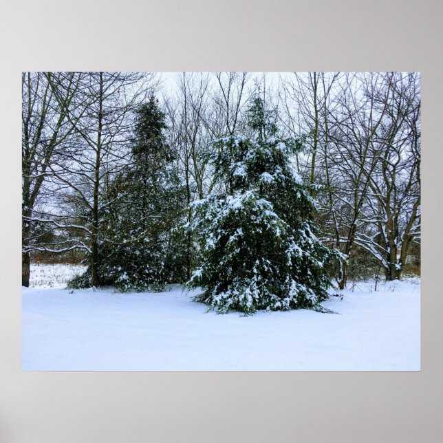 Poster Färsk vinter Snö (Framsidan)