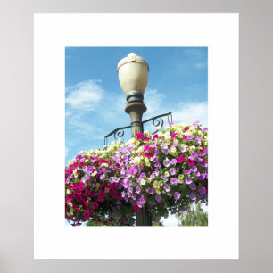 Poster Flower Basket