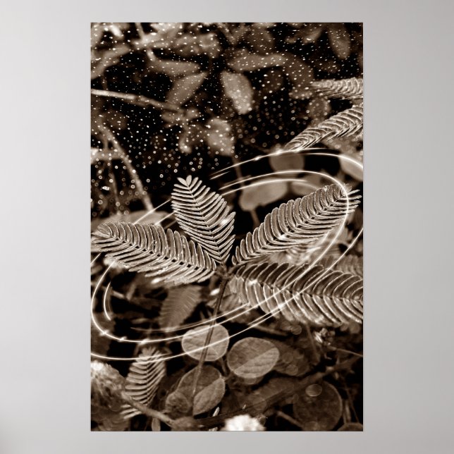 Poster Folhas - Green (Framsidan)