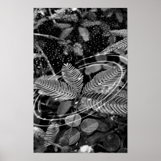 Poster Folhas - P&B (Framsidan)