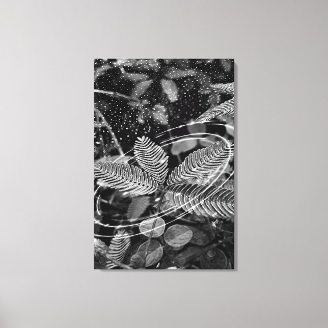 Poster Folhas - P&B Canvastryck (Framsida)